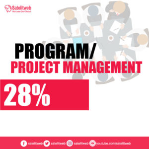 Program/Project Management